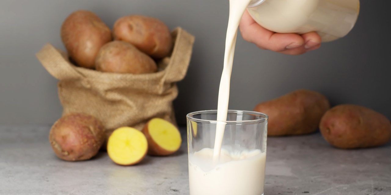 Potato Milk Mulai Menantang Dominasi Oat Milk Di Eropa