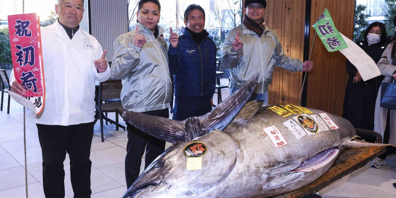 Restoran Sushi Pecahkan Rekor Beli Ikan Tuna Termahal