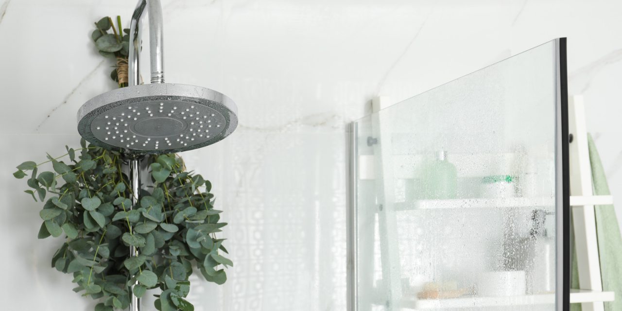 Gantung Daun Eucalyptus Di Shower Untuk Relaksasi Setiap Pagi