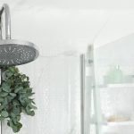Gantung Daun Eucalyptus Di Shower Untuk Relaksasi Setiap Pagi