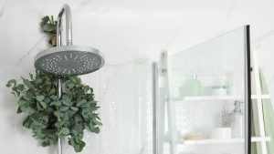 Gantung Daun Eucalyptus Di Shower Untuk Relaksasi Setiap Pagi
