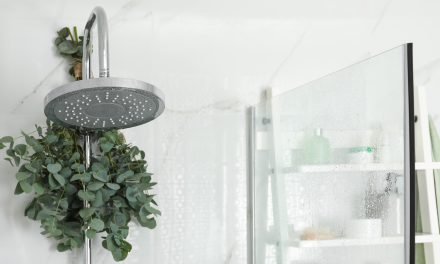 Gantung Daun Eucalyptus Di Shower Untuk Relaksasi Setiap Pagi