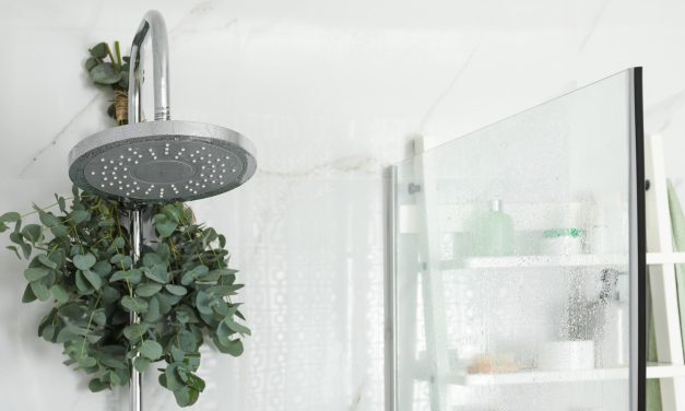 Gantung Daun Eucalyptus Di Shower Untuk Relaksasi Setiap Pagi