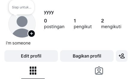 Fenomena ‘Zero Post’ Gen Z: Tren Kosongkan Feed Instagram