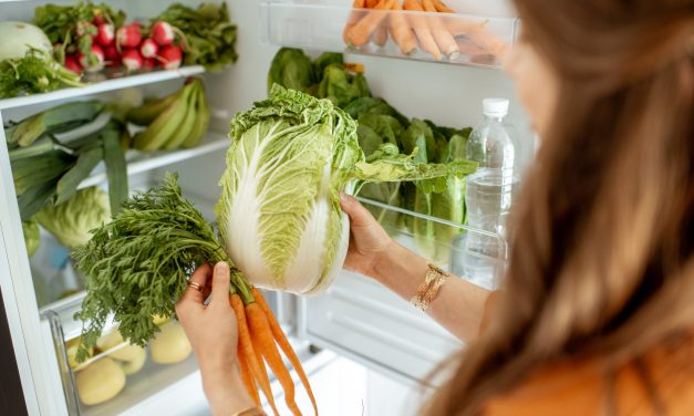 Rahasia Stok Sayur Mingguan Tetap Segar Dan Awet Di Kulkas