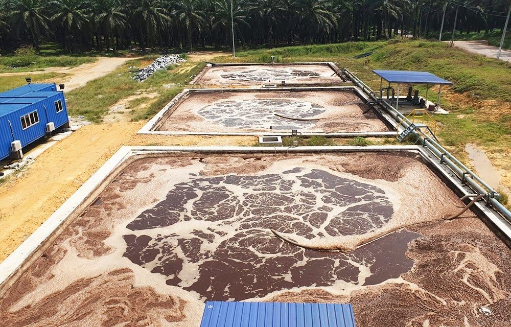 KLH Perketat Pengawasan Limbah Cair Sawit Di Kalimantan Barat