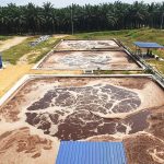 KLH Perketat Pengawasan Limbah Cair Sawit Di Kalimantan Barat