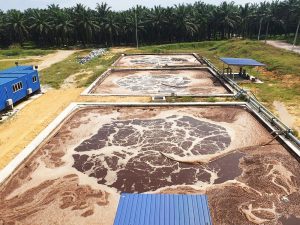 KLH Perketat Pengawasan Limbah Cair Sawit Di Kalimantan Barat