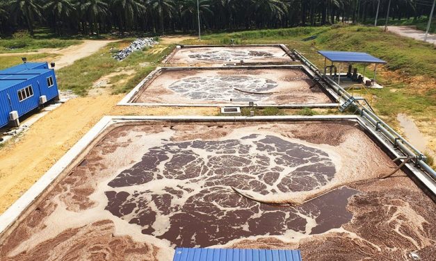 KLH Perketat Pengawasan Limbah Cair Sawit Di Kalimantan Barat